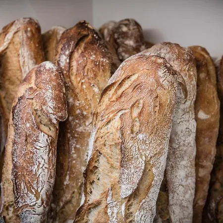 Des Vieilles Forges Kemping