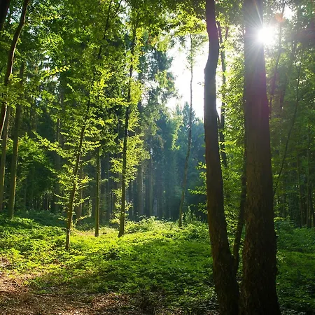 Des Vieilles Forges Kemping