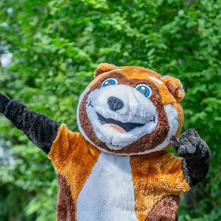 Des Vieilles Forges Camping